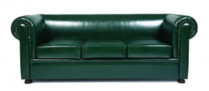 Диван трехместный Честер лайт 3Д Euroline 9100_0