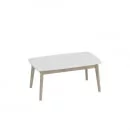 Стол журнальный Калгари 06 Дуб натуральный светлый-белый матовый_0