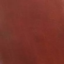 Светло-коричневый