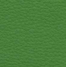 ярко салатовый №20