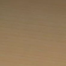 Бук невский