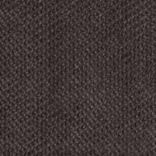 Верона Венге