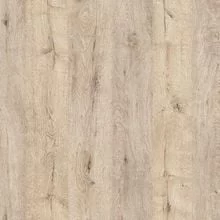 Дуб бонифаций