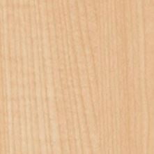 Клен Танзау