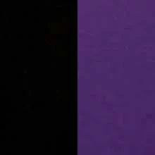 Black/Violet