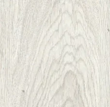 Дуб млечный