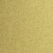 Нежно-зеленый