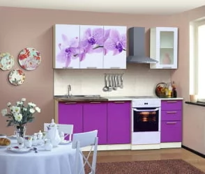 Маленькая кухня 1,6 м Орхидея