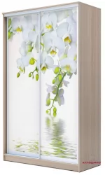 Шкаф-купе эконом Хит-23-17-77 Орхидея Ясень шимо светлый