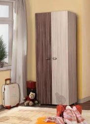 Шкаф для одежды ПМ-2 Юниор-6