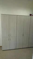 Шкаф для одежды Glassy 6.19.301 Туя