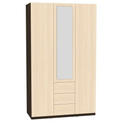 Шкаф распашный R-230х135х45-3-PO-M(Венге-ДМ)