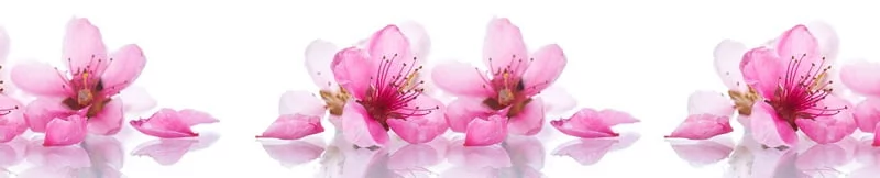 Глянцевый фартук (КОМПОЗИТ) KM 182