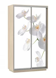 Шкаф-купе двухдверный Экспресс Дуо 1200х2200h Орхидея белая/Ясень шимо светлый