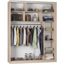 Шкаф-купе Б-220х180х60-1(ЯАС-Д10Д10Д10) / B-220х180х60-1(ЯАС-D10D10D10)