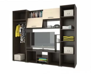 Гостиная Флора 2 Венге Дуб