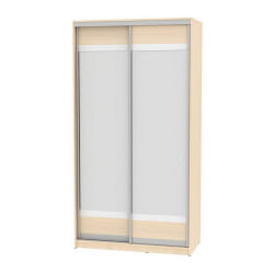 Шкаф-купе Б-220х120х60-2(ДМ-Д10Д10) / B-220х120х60-2(ДМ-D10D10)