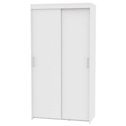 Шкаф-купе Т-1-230х120х45(Белый-2) / T-1-230х120х45(Белый-2)