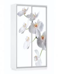 Шкаф-купе двухдверный Экспресс Дуо 1200х2200х Орхидея белая/Белый снег / 1200х2200h