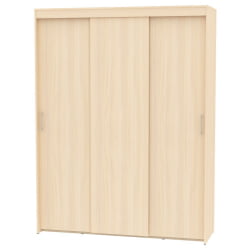 Шкаф-купе T-3-230х175х60(ДМ-8)