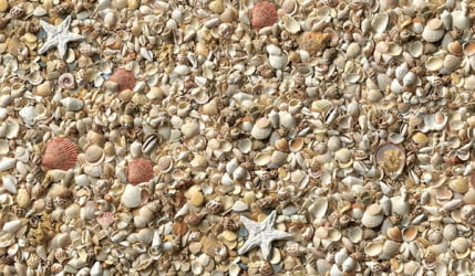 Стол обеденный Прямоугольный 900 600 фп Ракушки С002 ЛДСП серый