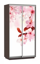 Шкаф-купе двухдверный Экспресс Хит Сакура/Венге