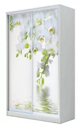 Шкаф-купе Хит-24-12-77 Орхидея Белая шагрень