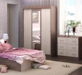 Шкаф-купе Басса ШКК 551 (ясень шимо темный/светлый)