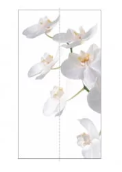 Шкаф-купе двухдверный Экспресс Хит Орхидея белая/Белый снег