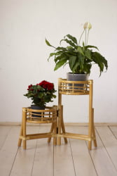 Цветочница 15/25 мед