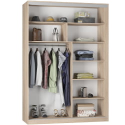 Шкаф-купе Б-230х160х60-1(ДСС-Белый-Д10Д10) / B-230х160х60-1(ДСС-Белый-D10D10)