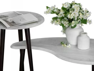 Стол журнальный BeautyStyle 2 Дуб дымчатый/венге