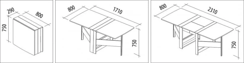 Стол-книжка Колибри-12.2 Кена