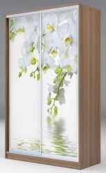 Шкаф-купе Хит-24-17-77 Орхидея Ясень шимо темный