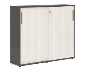 Шкаф с дверьми-купе EDIS EMC 1643 Ясень Траун Мокко Мокко