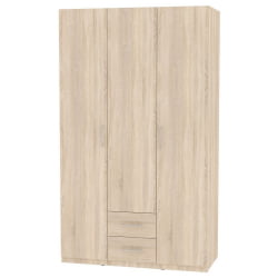 Шкаф распашный R-230х135х45-2(ДСС)