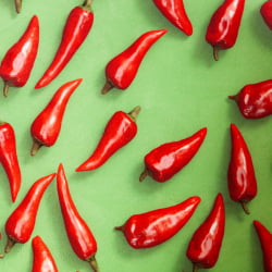 Компьютерное кресло MELODY ткань/флок, олива, Botanica 03 pepper/23