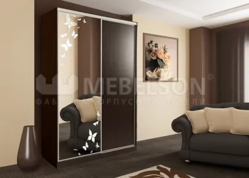 Шкаф-купе с пескоструйной печатью Рио 1-600 бабочки Венге