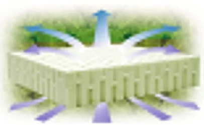 Наматрасник корректирующий Кокос+Латекс 80-190