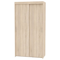 Шкаф-купе Т-1-230х120х45(ДСС-2) / T-1-230х120х45(ДСС-2)