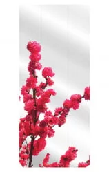 Узкий шкаф в прихожую Хоп Шелф Арт Молочный дуб