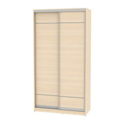 Детский шкафы-купе B-220х120х60-2(ДМ-D7D7)