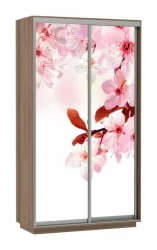 Шкаф-купе двухдверный Экспресс Дуо 1200х2400h Сакура/Ясень шимо тёмный