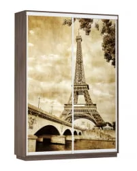 Шкаф-купе двухдверный Экспресс Дуо 1600х2200х Париж/Венге / 1600х2200h