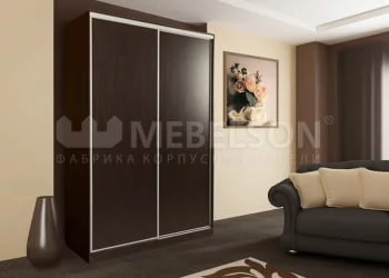 Детский шкафы-купе Гранд 5-600 Венге