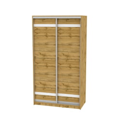 Шкаф-купе B-230х120х60-1(ДВ-D9D9)