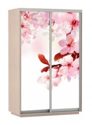 Шкаф-купе двухдверный Экспресс Дуо 1600х2400h Сакура/Дуб молочный