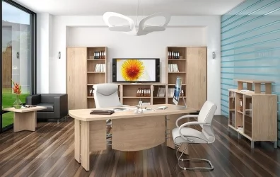 Кабинет руководителя БОРН набор 9 Венге магия