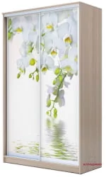 Двустворчатый гардеробный шкаф Хит-23-12-77 Орхидея Ясень шимо светлый