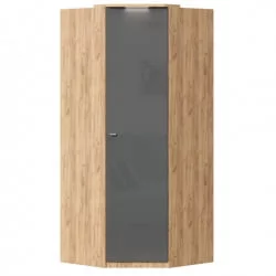 Шкаф угловой Фиджи ЛД 659.244.000 Дуб Золотой Антрацит